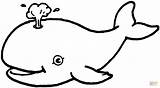 Ballenas Baleia Colorir Wieloryb Whale Ballena Balena Colorare Dzieci Dla Kolorowanka Infantiles Mamydzieci Descargar Wydruku Mamifero Baleine sketch template