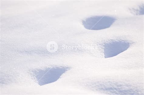 snow cover royalty  stock image storyblocks