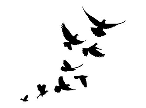 flying bird outline clipart   cliparts  images