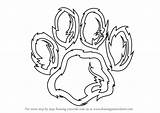Paw Tiger Draw Drawing Cougar Step Kids Animals Tutorials Getdrawings sketch template