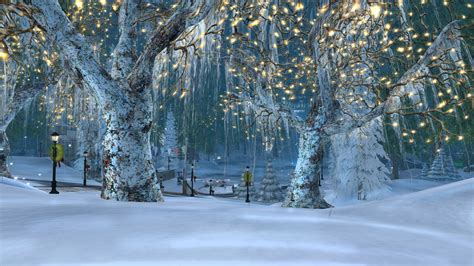 pretty winter backgrounds  pictures