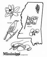 Mississippi Coloring Pages State Print Outline Studies Map America Social Ms History States Search North Symbols Kids Google 4th Grade sketch template