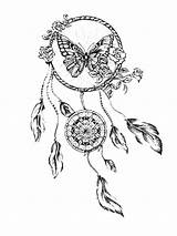 Dreamcatcher Mandala Freepngimg Freetoedit Scorpio Bird Freepngclipart Seekpng Pngitem 152kb Transp sketch template