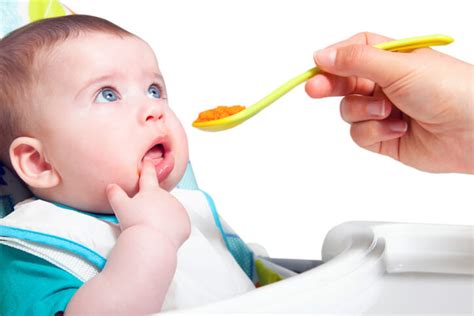 baby led weaning mom