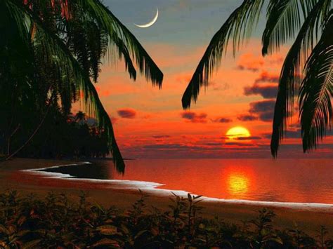 showme  awesome beach sunset