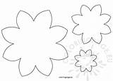 Petal Flower Daisy sketch template