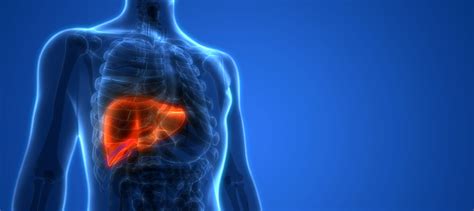 liver disease  rising threat healthy directions