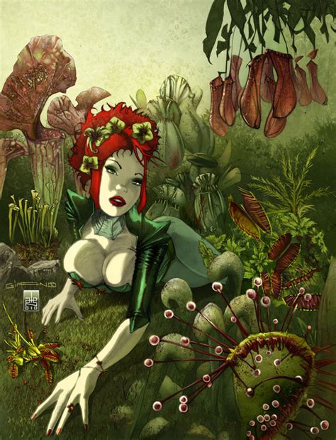 [48 ] sexy poison ivy wallpaper on wallpapersafari