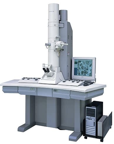 differences  light microscope  electron microscope