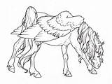 Pegasus Caballos Pegaso Letzte Malvorlagen sketch template