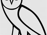 Ovo Owl sketch template