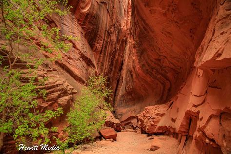 ultimate guide   long canyon slot hike   grand staircase