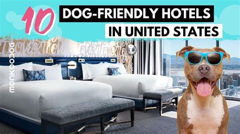 hotels  omaha  dogs updated april  wikidoggia
