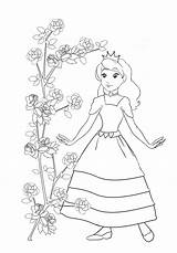 Princess Coloring Pages Rose Bush Pirate Clipartqueen sketch template