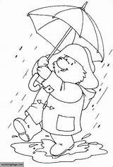 Coloring Pages Raincoat Paddington Bear Drawing Monsoon Colouring Rain Teddy Kids Color Umbrella Print Ecoloringpage Walking Rainy Printable Getcolorings Gif sketch template