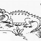 Crocodile Stunning Mitraland sketch template