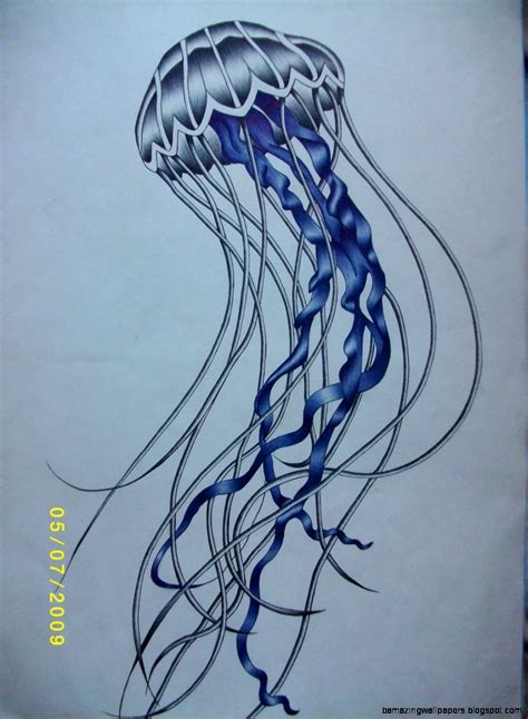 cool jellyfish drawing amazing wallpapers