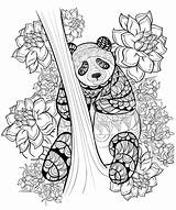 Panda Printable Coloring Animal Pages Zentangle Coloringpagesfortoddlers sketch template