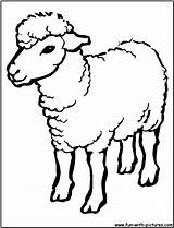 Outline Lamb Drawing Sheep Getdrawings sketch template