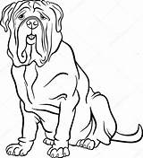 Dog Mastiff Colorare Mastino Napoletano Neapolitan Ausmalen Razza Clipart Tail Cani Disegni Labrador Retriever Chase Gatto Fiorit Fresco Stockfoto Reinrassige sketch template