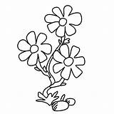 Flower Coloring Flowers Pages Blumenranke Fensterbilder Blume Malvorlagen Vorlage Children Tattoo Cken Bauch Printable Filigran Gies Gifford sketch template