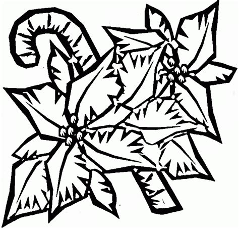 top  poinsettia coloring page  kids
