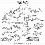 Driftwood Clipart Drawing Wood Tree Log Branches Branch Clip Vector Sketch Drawings Paintingvalley Choose Board Trees 570px 25kb sketch template
