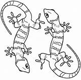 Lizard Coloring Gecko Pages Printable Geckos Kids Realistic Cute Frilled Color Sheets Print Desert Bestcoloringpagesforkids Animal Cool2bkids Two Getcolorings Preschool sketch template