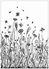Coloring Pages Field Adult Insects Adults Flowers Vegetation Floral Fleurs Wild Cute Color Flower Colouring Sheets Et Nature Composed Herbs sketch template