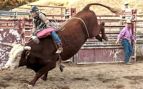 maggie parker the diminutive cowgirl who is america s only female bull