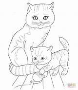 Cat Mother Kitten Coloring Pages Printable Baby Cats Color Animals sketch template