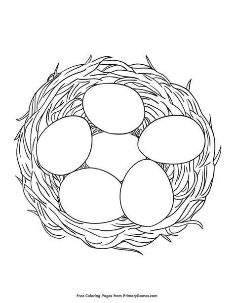 eggs   nest coloring page  printable  coloring eggs