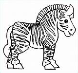 Cebras Zebre Zebras Colorat Desene Planse Inspirant sketch template