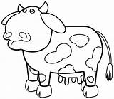 Cow Coloring Pages sketch template