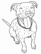 Coloring Pitbull Pages Pit Bull Dog Puppy Print sketch template