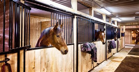 rethinking    horses  stalls barrelracingcom