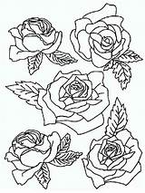 Rose Coloring Pages Print Flower Flowers Color Recommended Bright sketch template