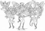 Winx Butterflix Club Coloring Drawing Pages Template Drawings Paintingvalley sketch template