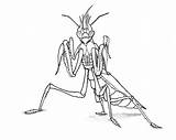 Mantis sketch template