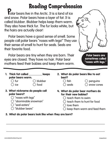 reading comprehension worksheet    grade lesson planet