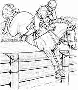 Horse Coloring Pages Stall Jumping Realistic Prix Grand sketch template