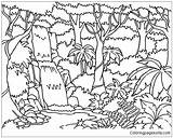 Forest Coloring Pages Kids Getcolorings Printable sketch template