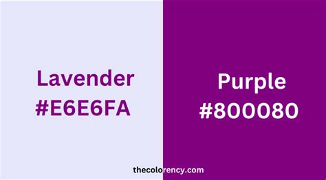 lavender  purple   differences explained  color ency