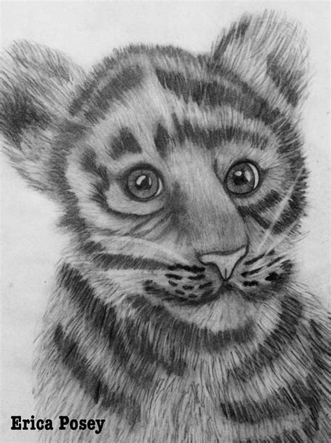baby cub drawing  erica posey fine art america