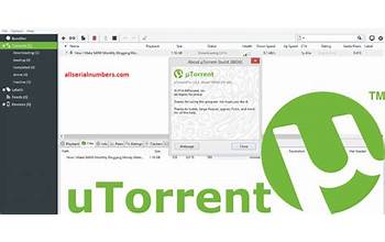uTorrent screenshot #2