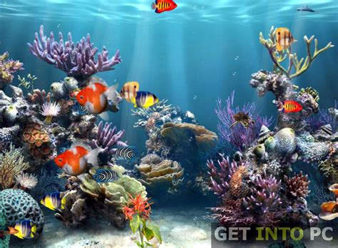  Animado De Arrecife De Coral Vida Fondos De Pantalla Gratis