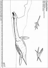 Prehistoric Cryptoclidus Colouring sketch template