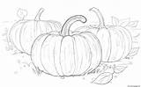 Pumpkins Coloring Halloween Pages Three Printable Categories sketch template
