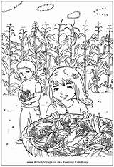 Corn Picking Coloring Colouring Pages Harvest Fall Kids Field Thanksgiving Sheets Sheet Activity Children Activityvillage Colour Color Printable Festival Halloween sketch template