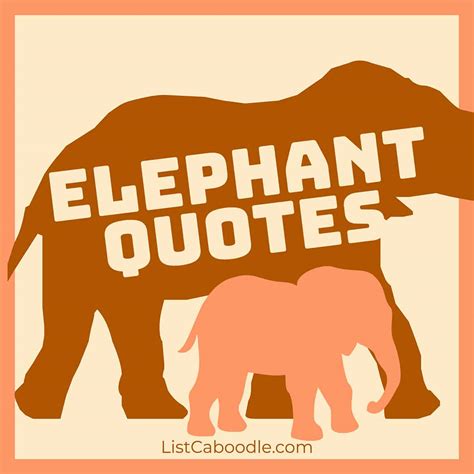 💌 elephant quotes 105 best elephant quotes you won t forget 2022 12 03